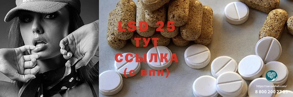 индика Абаза