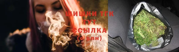 индика Абаза
