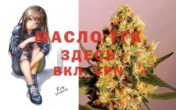 индика Абаза