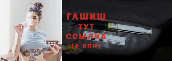 индика Абаза