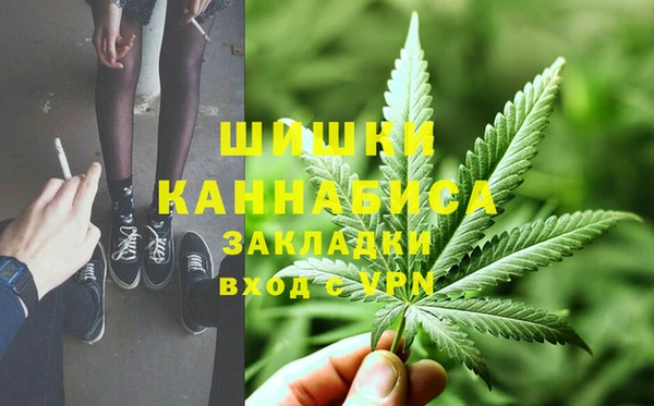 индика Абаза