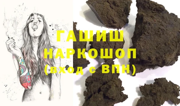 индика Абаза
