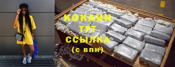 индика Абаза