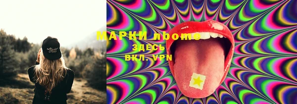 индика Абаза