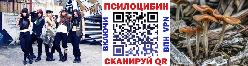 Галлюциногенные грибы мицелий  Гусиноозёрск 